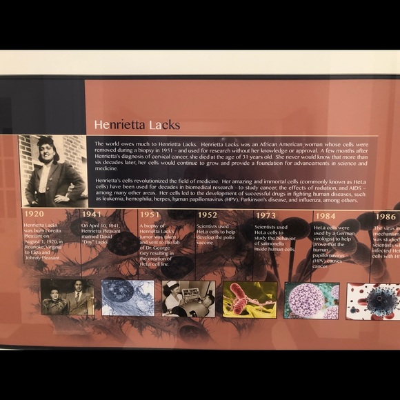 Meet your Posher, Isaac - Picture 1 of 1